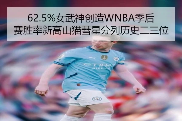 62.5%女武神创造WNBA季后赛胜率新高山猫彗星分列历史二三位 | BETWAY